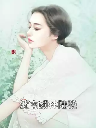 沈南颜林陆骁小说